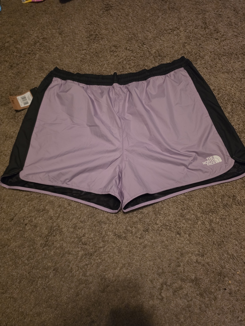 The North Face Lavender and Black Running Shorts - Women's
